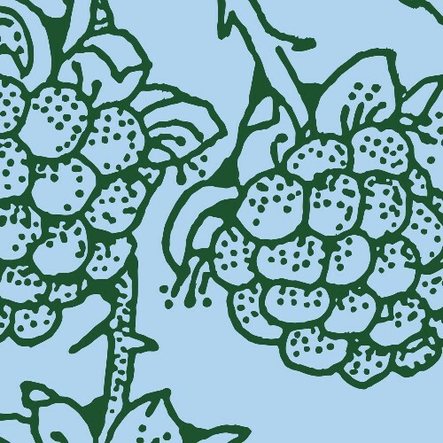  Johannes Albert & Iron Curtis - Private Dancer (Versions) (2026) 