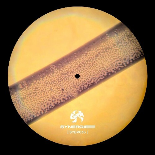  Frieder - Beyond the Linear (2025) 