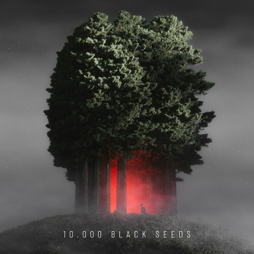 Bjoern Torwellen - 10.000 Black Seeds (2024)