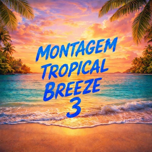  DJ XFR - Montagem Tropical Breeze 3 (2026) 