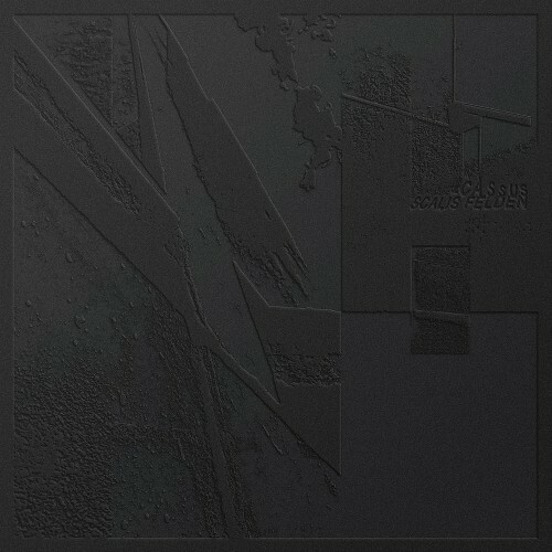  Cassus - Scalis Felden (2026) 