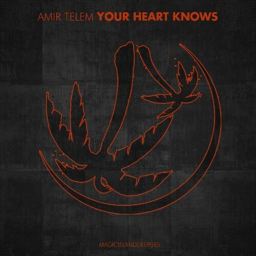  Amir Telem - Your Heart Knows (2025) 