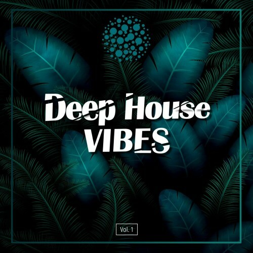  Deep House Vibes, Vol.1 (2024) 