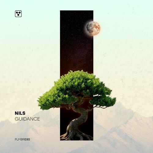  DJ Nils - GuiDance (2025) 