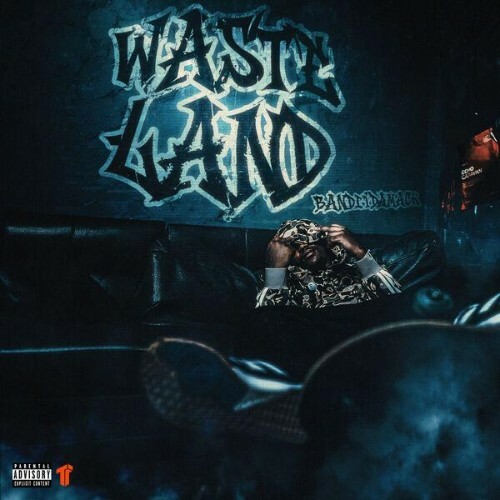  Banditdamack - Wasteland (2026) 