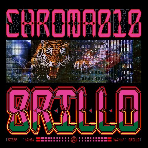 Bicep & Hammer - CHROMA 010 (2025) Bicep & Hammer - CHROMA 010 (2025)