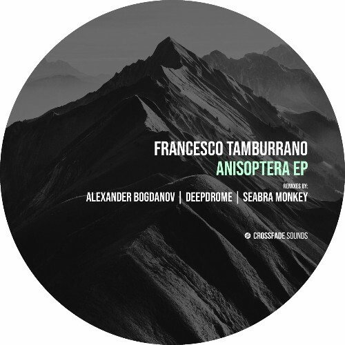 Francesco Tamburrano - Anisoptera (2024)