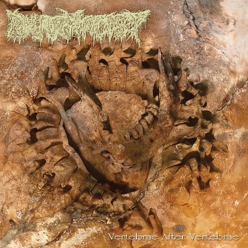 Pharmacist - Vertebrae After Vertebrae (2026) 