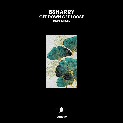 MP3:  Bsharry - Get Down Get Loose (Rave Mixes) (2024) Онлайн