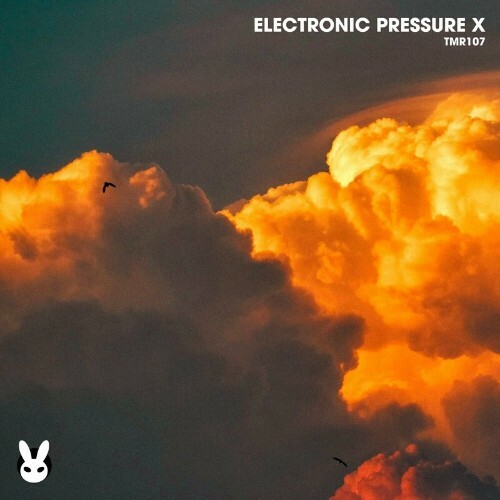  Electronic Pressure X (2024) 