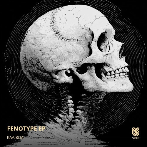  KAA BOA - Fenotype (2025) 