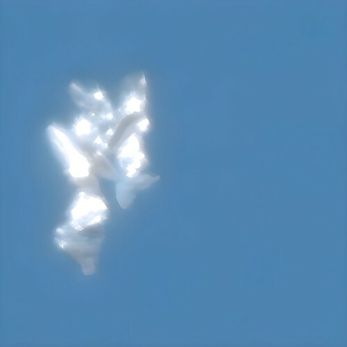 Neoji — Envision (2026)