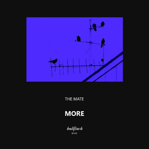  The Mate - More (2025) 