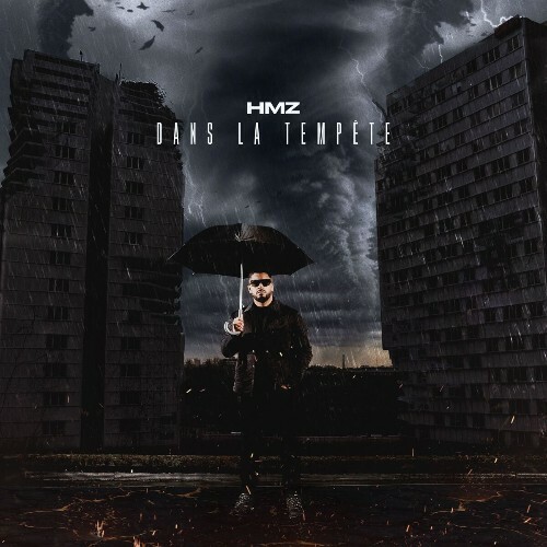  Hmz - Dans la temp&#234;te (2025) 