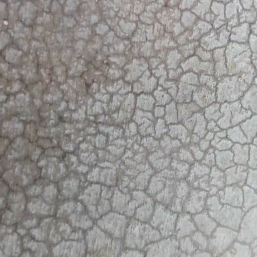 Octavio - Surface (2025) Octavio - Surface (2025)