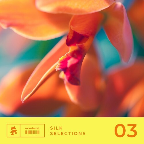  Silk Selections 03 (2025) 