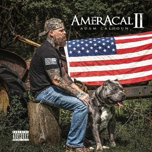  AmerAcal II (2025) 