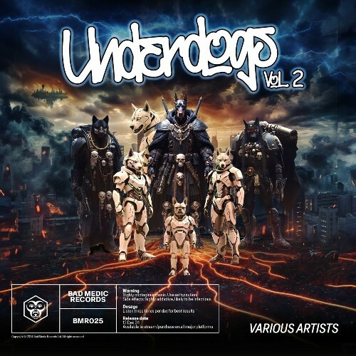  Underdogs - Vol. 2 (2024) 