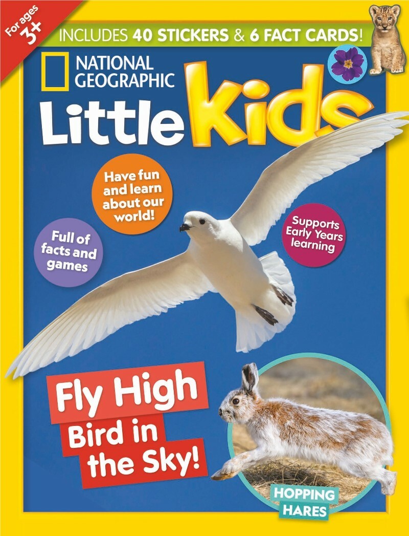 [Kép: ME1BFUCB_o.jpg]