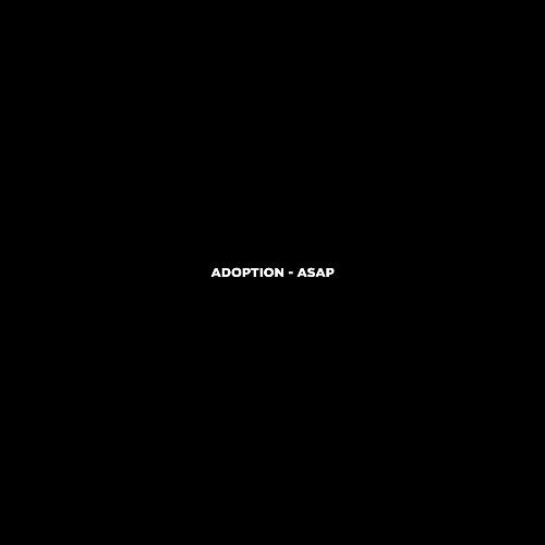 VA - Adoption - ASAP (2024) (MP3)