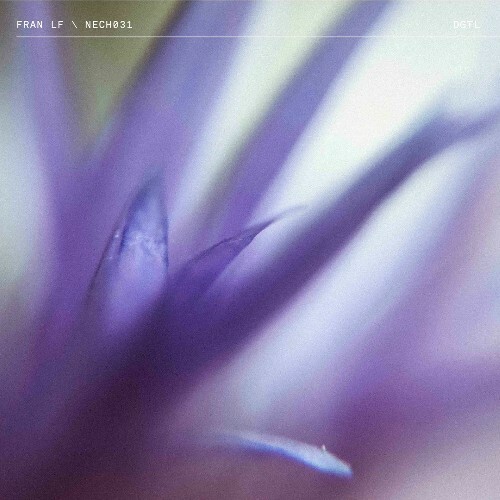  Fran LF - NECH031 (2025) 