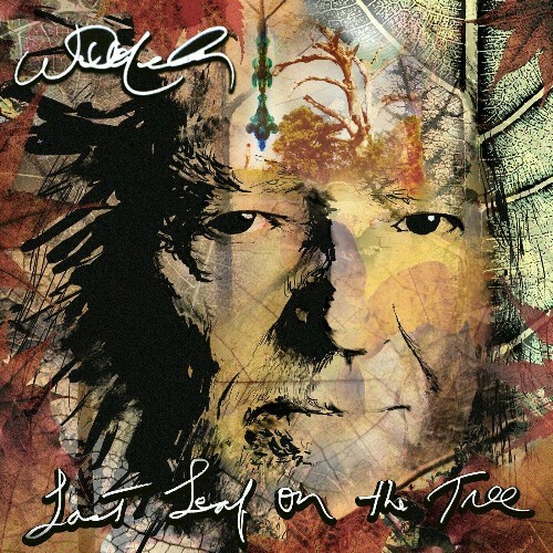  Willie Nelson - Last Leaf On The Tree (2024) 