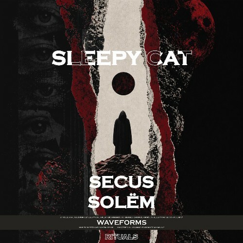  Sleepy Cat - Waveforms (2026) 