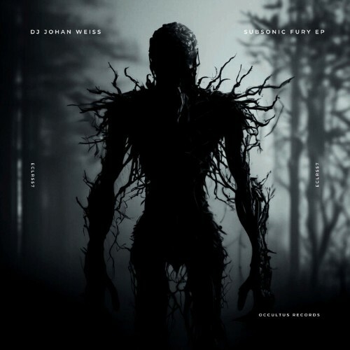  DJ Johan Weiss - Subsonic Fury (2026) 