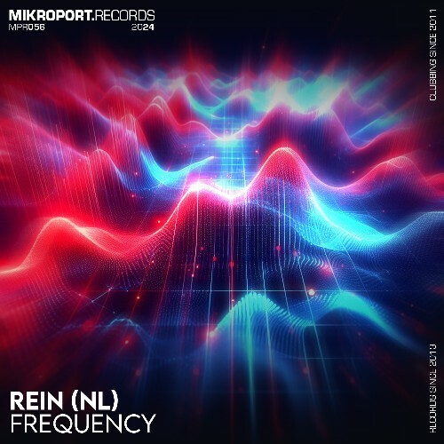 VA - Rein (NL) - Frequencies (2024) (MP3) MEV80ZF_o