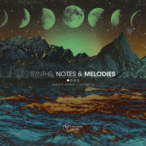 Synths, Notes & Melodies, Vol. 10 (2024)