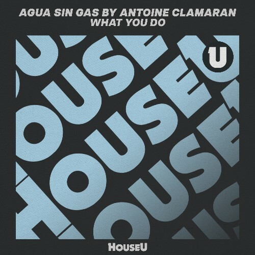  Agua Sin Gas by Antoine Clamaran - What You Do (2026) 