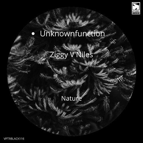  Unknownfunction & Ziggy V'Niles - Nature (2025) 