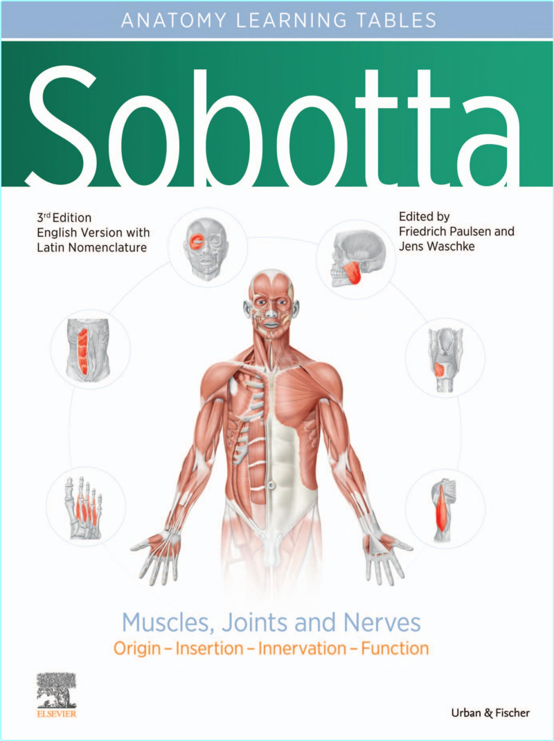 Sobotta Tables Of Muscles Joints And Nerves English-Latin Tables Of The Sobotta Atlas 17th Edition (Jens Waschke) Sobotta Tables Of Muscles Joints And Nerves English-Latin Tables Of The Sobotta Atlas 17th Edition (Jens Waschke)
