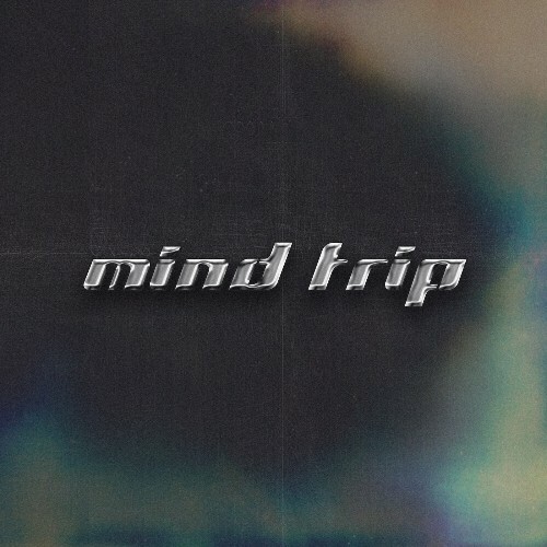  BOUDi & Boy Boogie - Mind Trip (2024) 