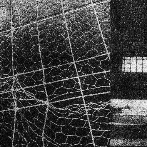  Nicko Shuo - Tragau (2026) 