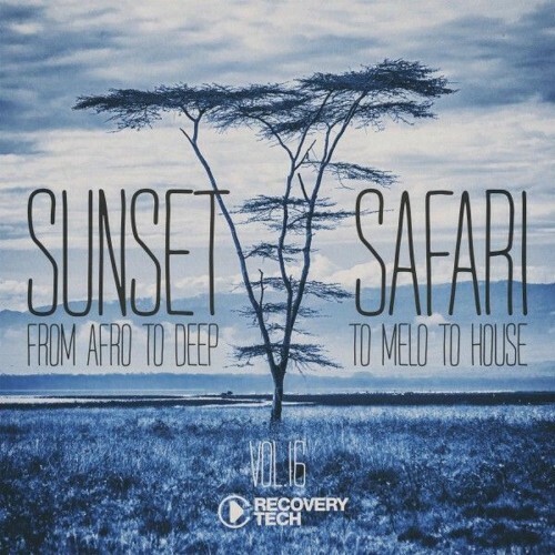  Sunset Safari, Vol. 16 (2025) 