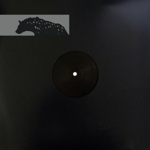  P.H.A.Z.E.R. - City Lights (2025) 