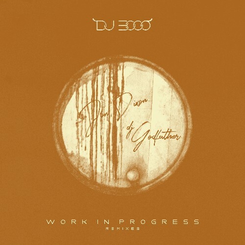  DJ 3000 - Work In Progress (Remixes) (2024) 