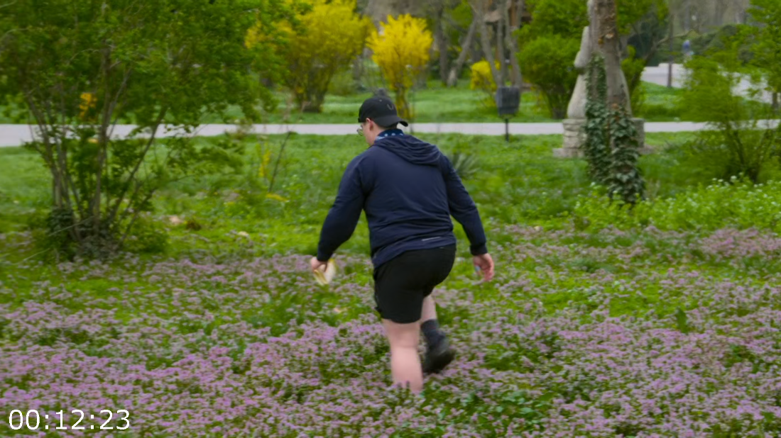 [Image: ME17P1AO_o.png]