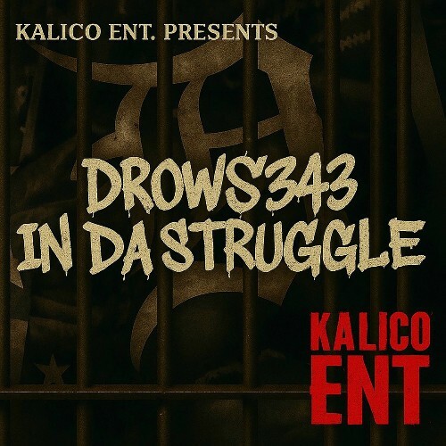  Drows343 - In Da Struggle (2025) 
