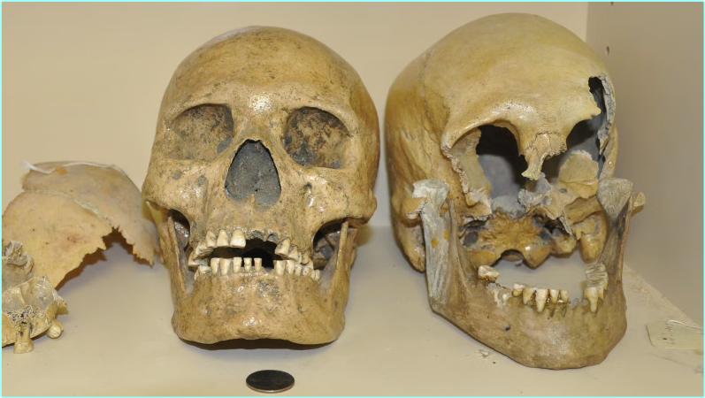 [Image: ME16Q0G6_o.png]