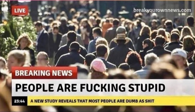 ME10EAMS_o.jpg