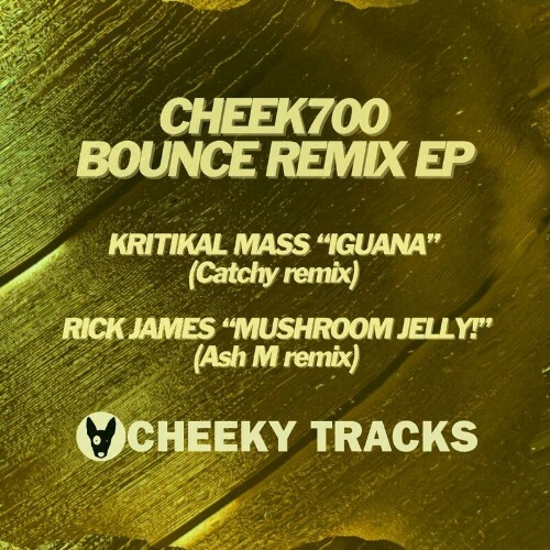 VA - Kritikal Mass & Rick James - Bounce Remix (2024) (MP3) MEVAJHM_o