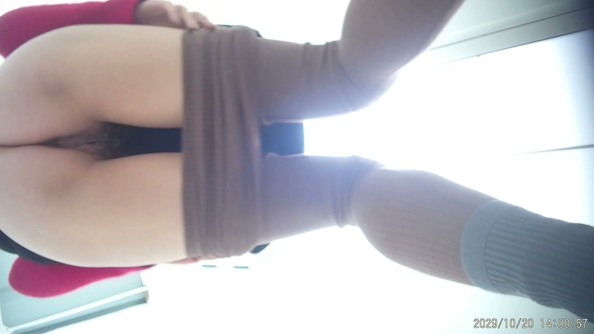 Asian Shopping Center Mall Toilet No.33