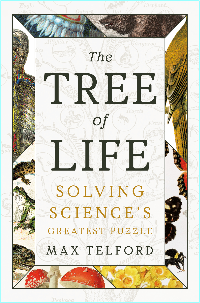 [Kép: ME17VRXO_o.png]