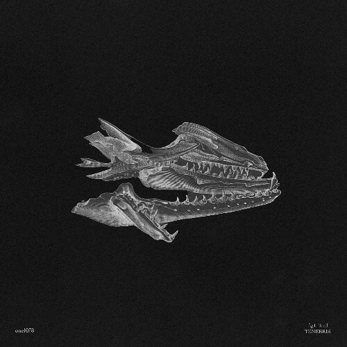  Trail - Tenebris (2025) 