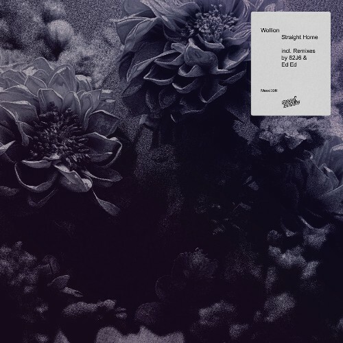  Wollion - Straight Home (2026) 