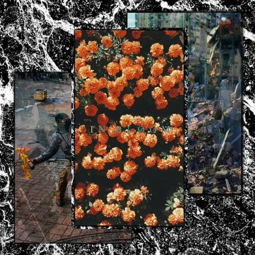  Waste - In Bloom (2024)  METGL2O_o