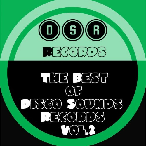  The Best of Disco Sounds Records, Vol. 2 (2026) 