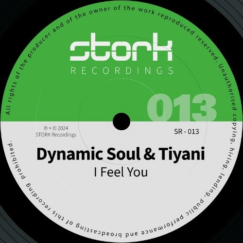  Dynamic Soul x Tiyani - I Feel You (2024) 